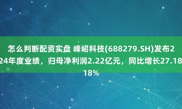 怎么判断配资实盘 峰岹科技(688279.SH)发布2024年度业绩，归母净利润2.22亿元，同比增长27.18%