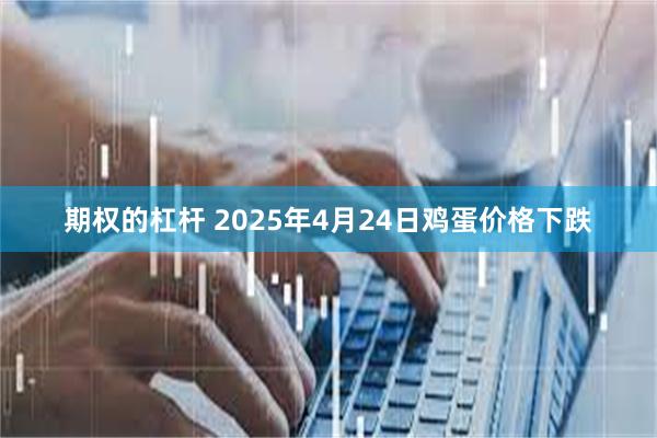 期权的杠杆 2025年4月24日鸡蛋价格下跌