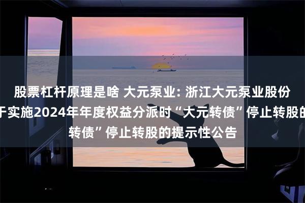 股票杠杆原理是啥 大元泵业: 浙江大元泵业股份有限公司关于实施2024年年度权益分派时“大元转债”停止转股的提示性公告